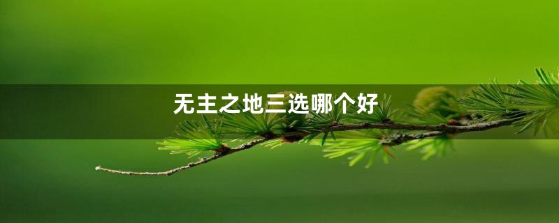 无主之地三选哪个好