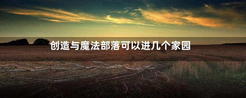 创造与魔法部落可以进几个家园