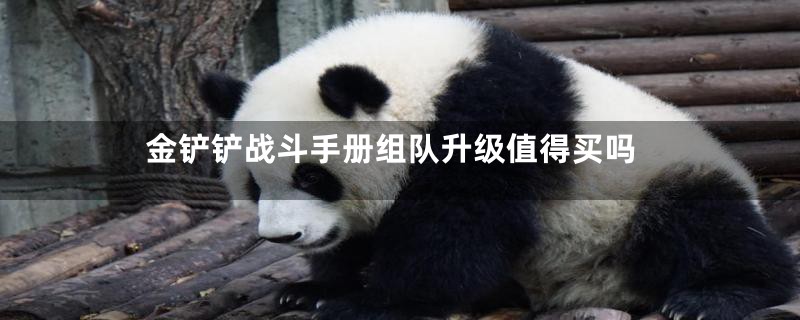 金铲铲战斗手册组队升级值得买吗