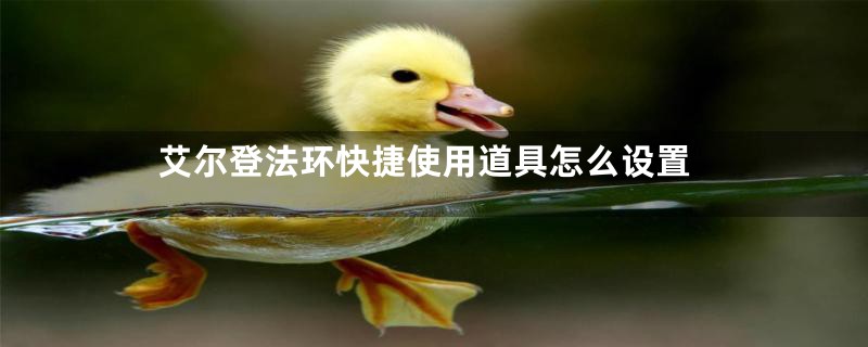 艾尔登法环快捷使用道具怎么设置