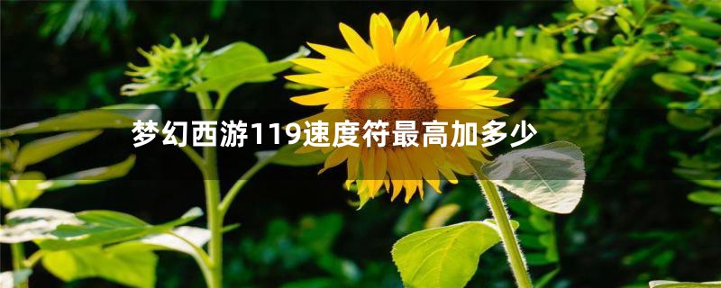 梦幻西游119速度符最高加多少