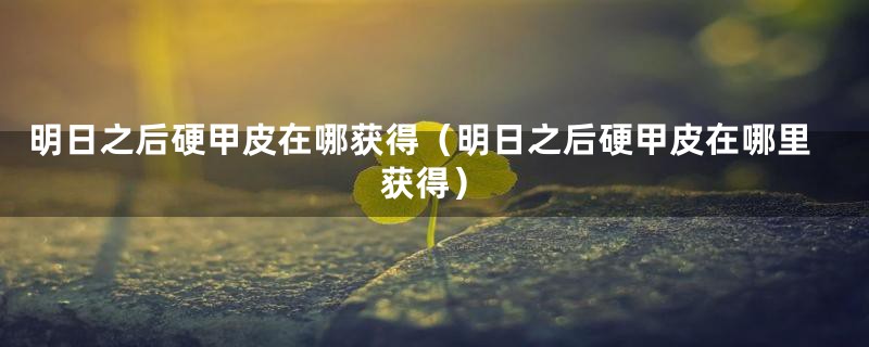 明日之后硬甲皮在哪获得(明日之后硬甲皮在哪里获得)