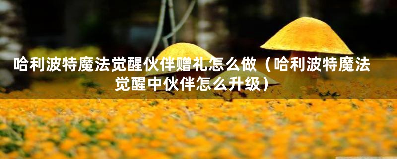 哈利波特魔法觉醒伙伴赠礼怎么做（哈利波特魔法觉醒中伙伴怎么升级）