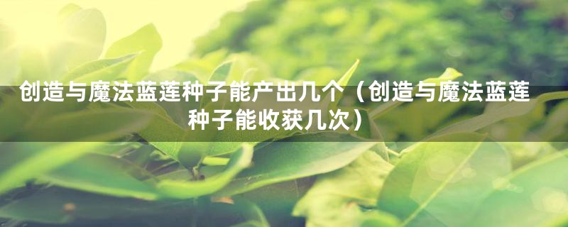 创造与魔法蓝莲种子能产出几个(创造与魔法蓝莲种子能收获几次)