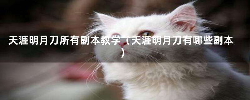 天涯明月刀所有副本教学（天涯明月刀有哪些副本）