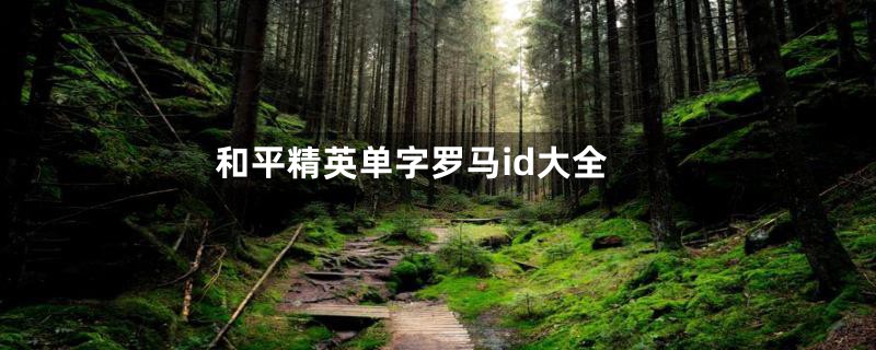 和平精英单字罗马id大全