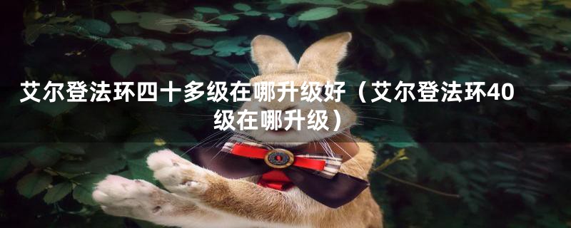 艾尔登法环四十多级在哪升级好(艾尔登法环40级在哪升级)