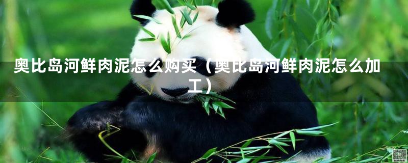 奥比岛河鲜肉泥怎么购买(奥比岛河鲜肉泥怎么加工)