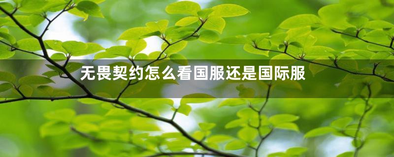 无畏契约怎么看国服还是国际服
