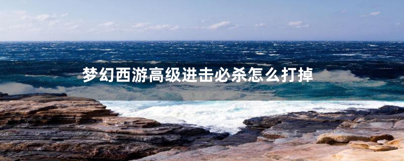 梦幻西游高级进击必杀怎么打掉