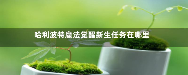 哈利波特魔法觉醒新生任务在哪里