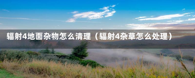 辐射4地面杂物怎么清理(辐射4杂草怎么处理)