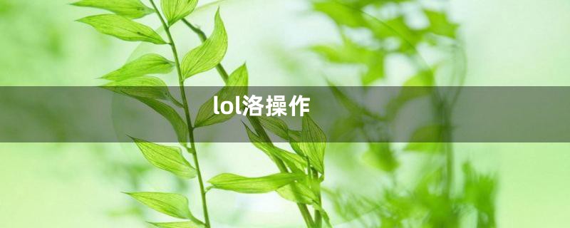 lol洛操作