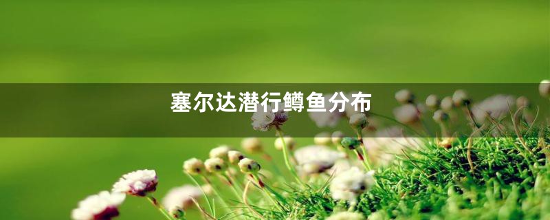 塞尔达潜行鳟鱼分布