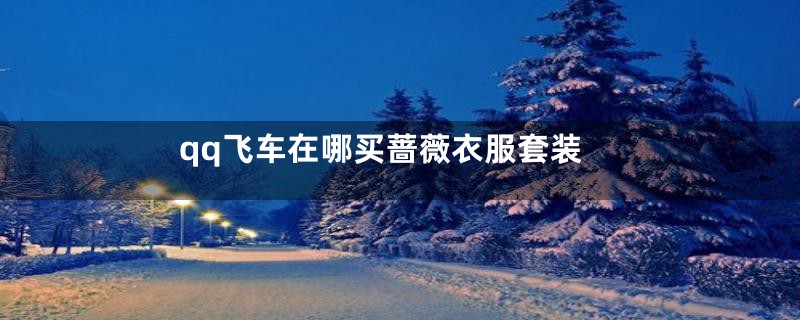 qq飞车在哪买蔷薇衣服套装