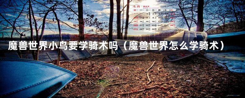 魔兽世界小鸟要学骑术吗(魔兽世界怎么学骑术)