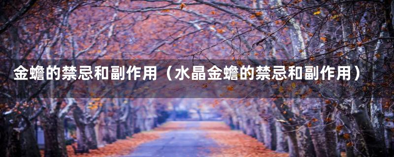 金蟾的禁忌和副作用(水晶金蟾的禁忌和副作用)