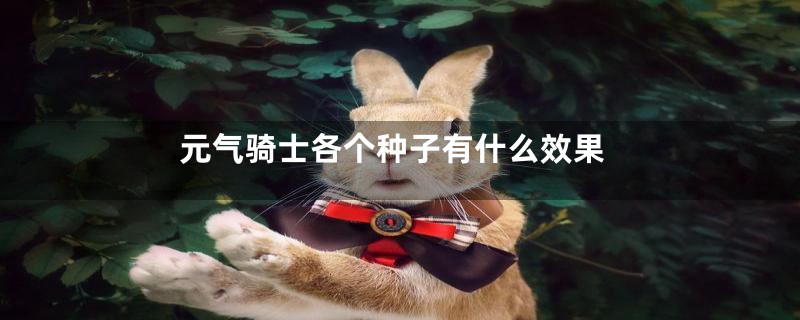 元气骑士各个种子有什么效果