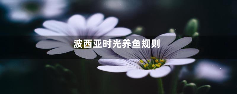 波西亚时光养鱼规则