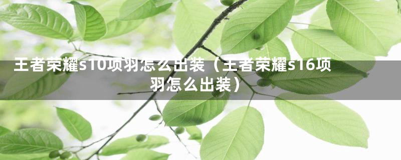 王者荣耀s10项羽怎么出装(王者荣耀s16项羽怎么出装)