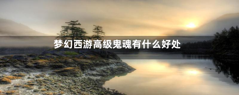 梦幻西游高级鬼魂有什么好处