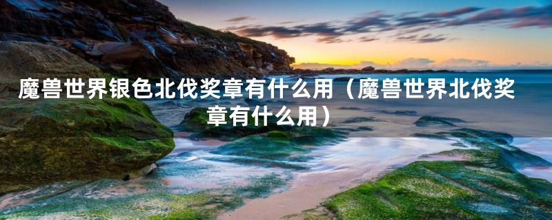 魔兽世界银色北伐奖章有什么用(魔兽世界北伐奖章有什么用)