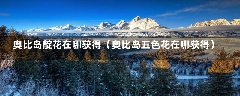 奥比岛靛花在哪获得（奥比岛五色花在哪获得）