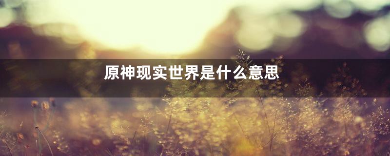 原神现实世界是什么意思