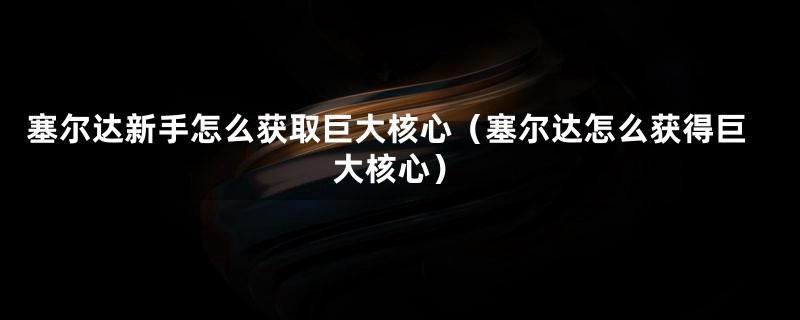 塞尔达新手怎么获取巨大核心（塞尔达怎么获得巨大核心）