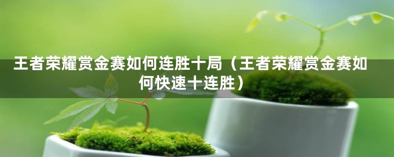 王者荣耀赏金赛如何连胜十局（王者荣耀赏金赛如何快速十连胜）