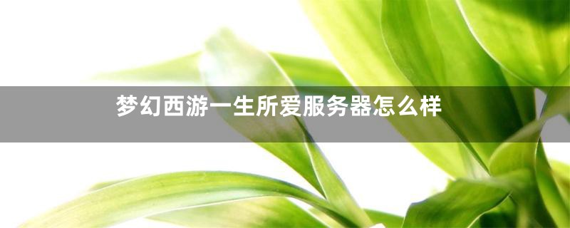 梦幻西游一生所爱服务器怎么样