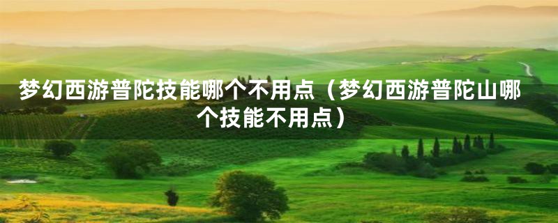 梦幻西游普陀技能哪个不用点（梦幻西游普陀山哪个技能不用点）