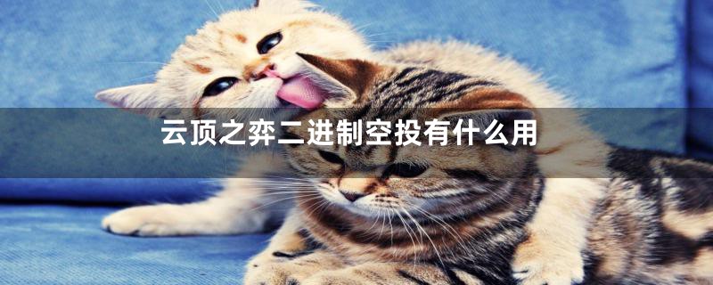 云顶之弈二进制空投有什么用
