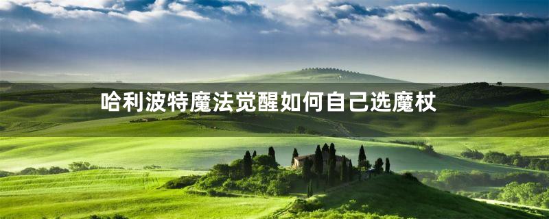 哈利波特魔法觉醒如何自己选魔杖