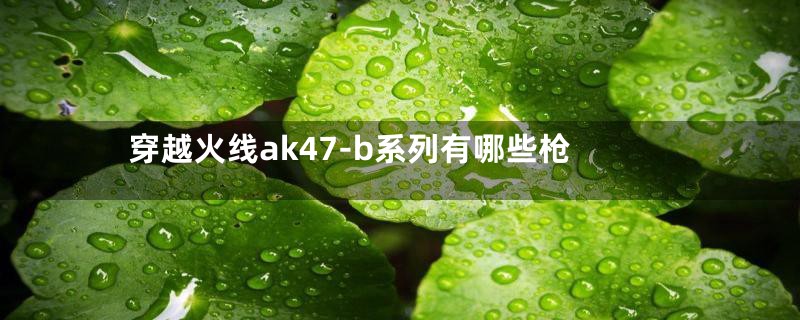 穿越火线ak47-b系列有哪些枪