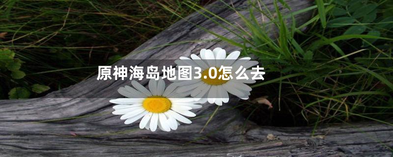 原神海岛地图3.0怎么去