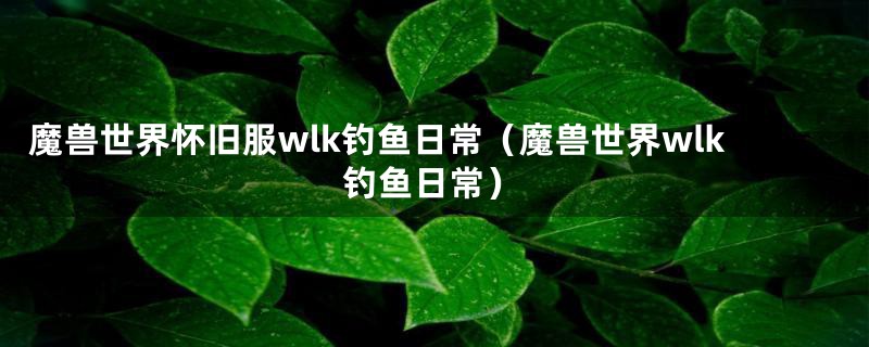 魔兽世界怀旧服wlk钓鱼日常（魔兽世界wlk钓鱼日常）
