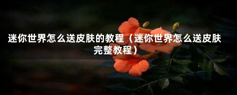 迷你世界怎么送皮肤的教程（迷你世界怎么送皮肤完整教程）