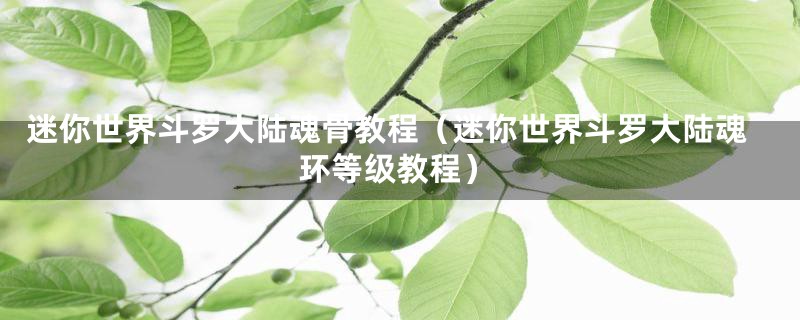 迷你世界斗罗大陆魂骨教程（迷你世界斗罗大陆魂环等级教程）