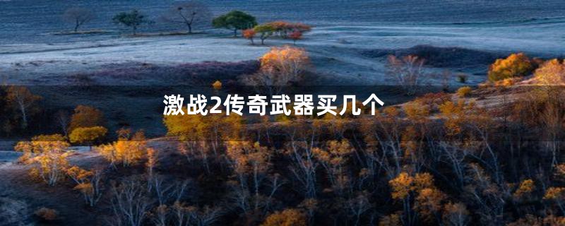 激战2传奇武器买几个