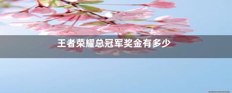 王者荣耀总冠军奖金有多少