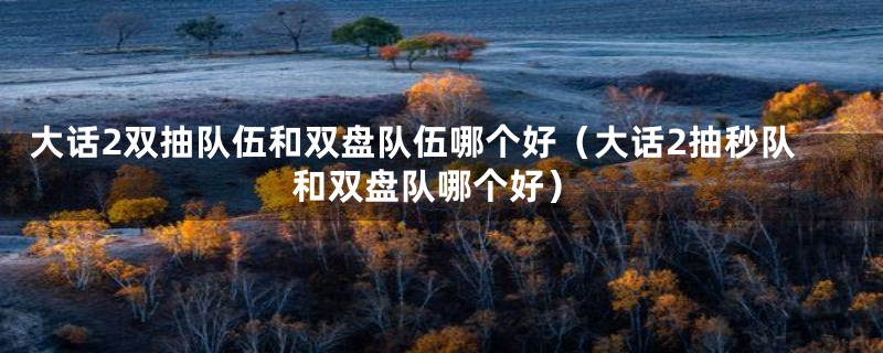 大话2双抽队伍和双盘队伍哪个好(大话2抽秒队和双盘队哪个好)
