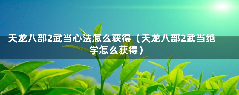 天龙八部2武当心法怎么获得(天龙八部2武当绝学怎么获得)