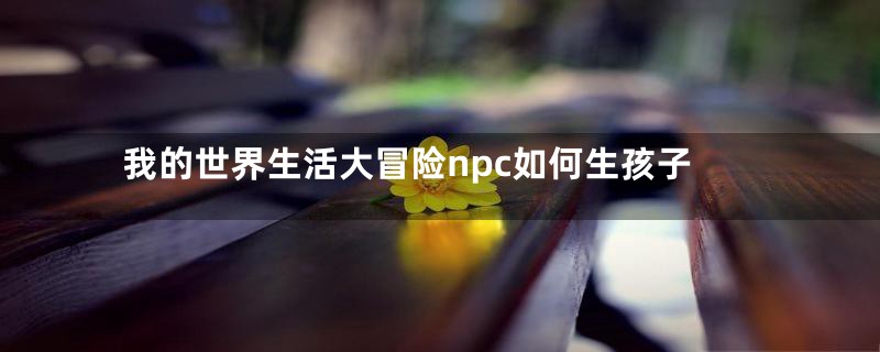 我的世界生活大冒险npc如何生孩子