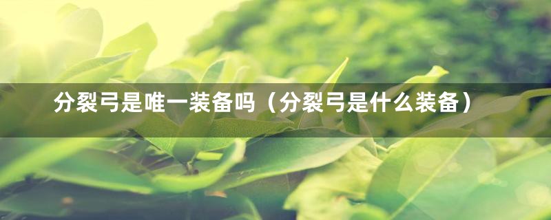 分裂弓是唯一装备吗（分裂弓是什么装备）