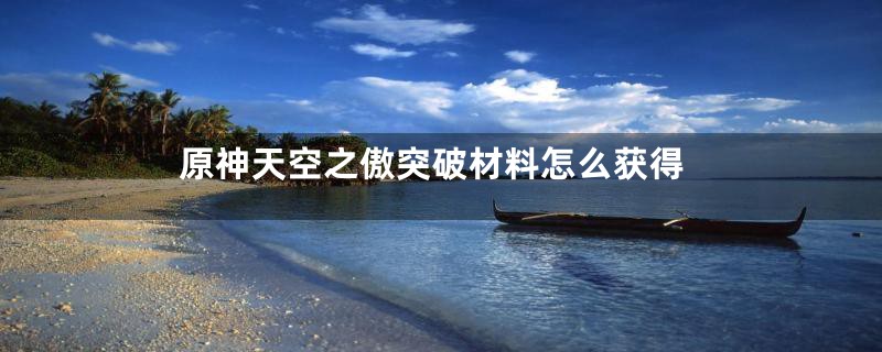 原神天空之傲突破材料怎么获得