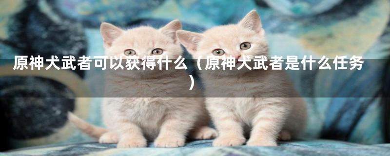 原神犬武者可以获得什么（原神犬武者是什么任务）