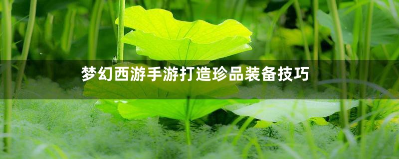 梦幻西游手游打造珍品装备技巧