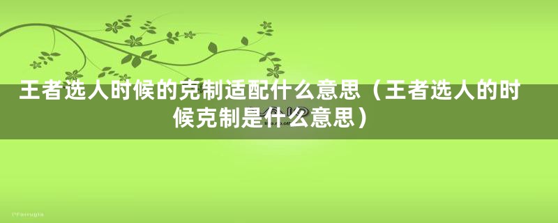 王者选人时候的克制适配什么意思(王者选人的时候克制是什么意思)