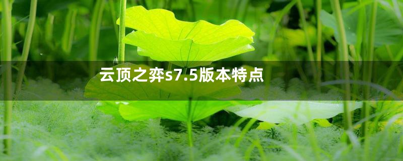 云顶之弈s7.5版本特点